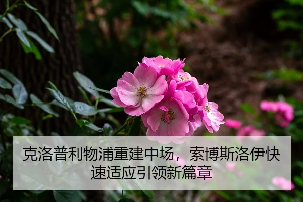 ke-luo-pu-li-wu-pu-chong-jian-zhong-chang-suo-bo-si-luo-yi-kuai-su-shi-ying-yin-ling-xin-pian-zhang-3-500.jpg