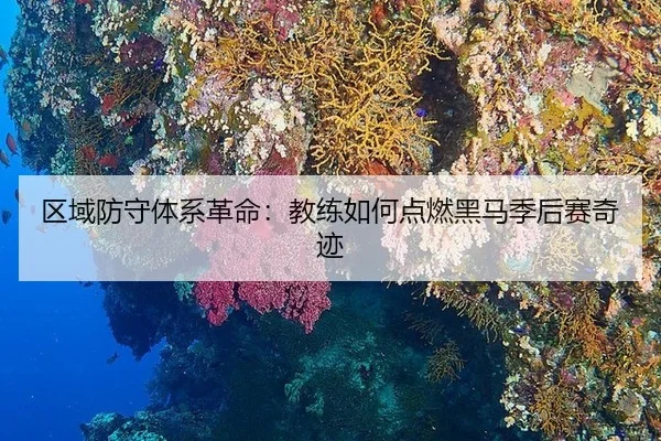 区域防守体系革命：教练如何点燃黑马季后赛奇迹