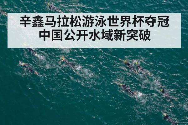 辛鑫马拉松游泳世界杯夺冠 中国公开水域新突破